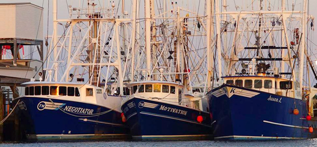 Commercial fishing boats in Cape May harbor.