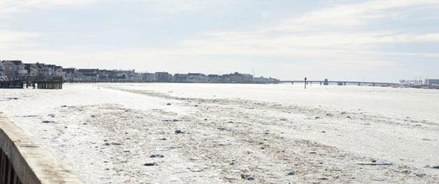 Snow on Stone Harbor Municipal Marina